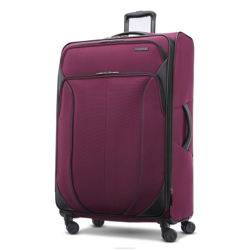 orhidee violet